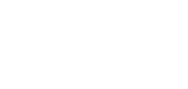 VNV.DK